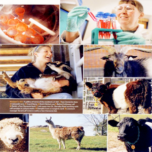 Girl-holding-sheep.jpg